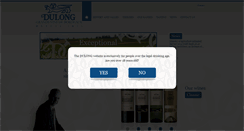 Desktop Screenshot of dulong.com